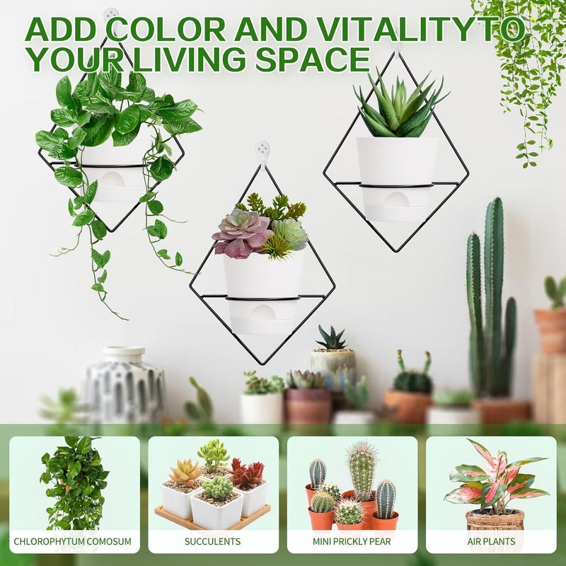 Koalaime 3 Sets Wall Planters for Indoor Plants Geometric Hanging Planters for Indoor Plants - Self-Watering Flower Pots with Black Metal Holder, Mounted Succulent Planter, 5" Black Plant Pot - Image 4